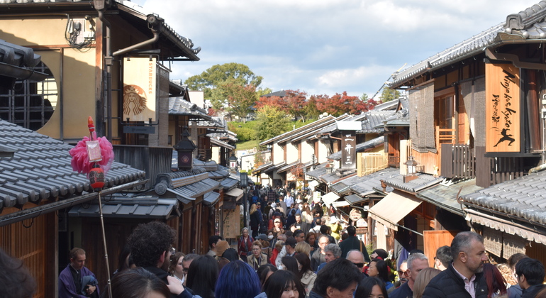 Kyoto: Full Day Private Tour with a Local Guide Japan &mdash; #10