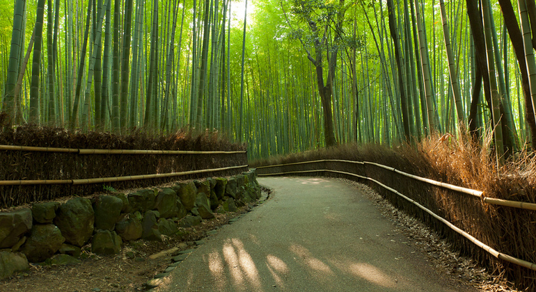 Kyoto: Full Day Private Tour with a Local Guide Japan &mdash; #11