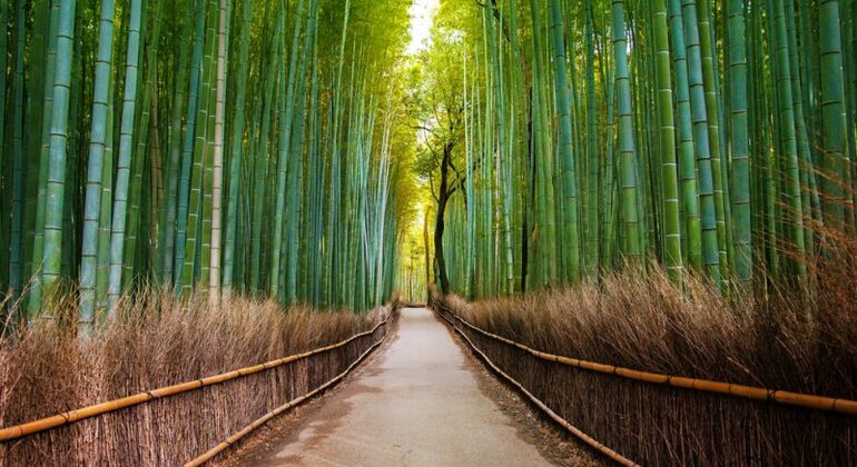 Kyoto: Full Day Private Tour with a Local Guide Japan &mdash; #12