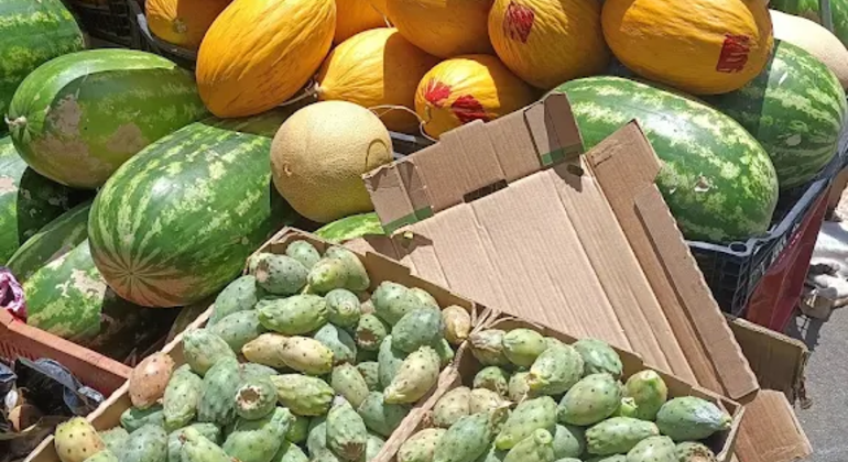 Tour gratuito con guida certificata: Tangeri e i segreti tra i continenti  Marocco &mdash; #24