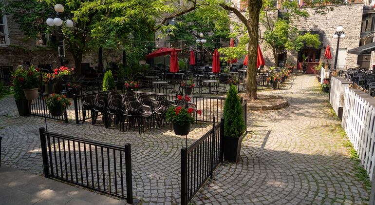 Free Timber, Taverns & Tall Tales - ByWard Market Tour Canada &mdash; #7