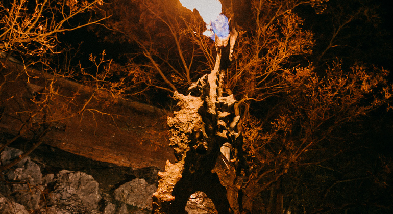 a-walk-with-the-dead-krakow-ghost-tour-en-3