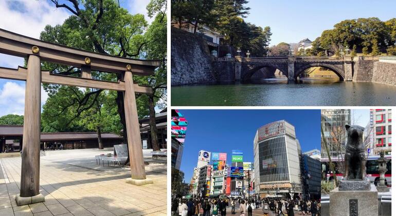 Tokyo Essentials: Daytime Free Tour Provided by Yusuke - Licensed Guide 