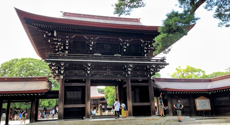 Tokyo Essentials: Daytime Free Tour Japan &mdash; #2