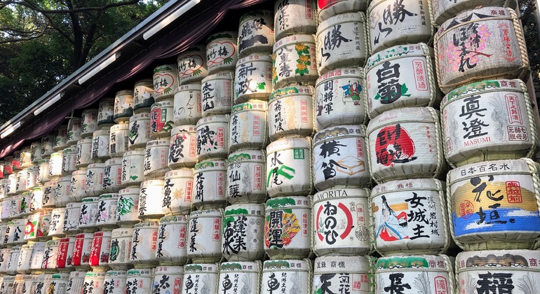 Tokyo Essentials: Daytime Free Tour Japan &mdash; #3