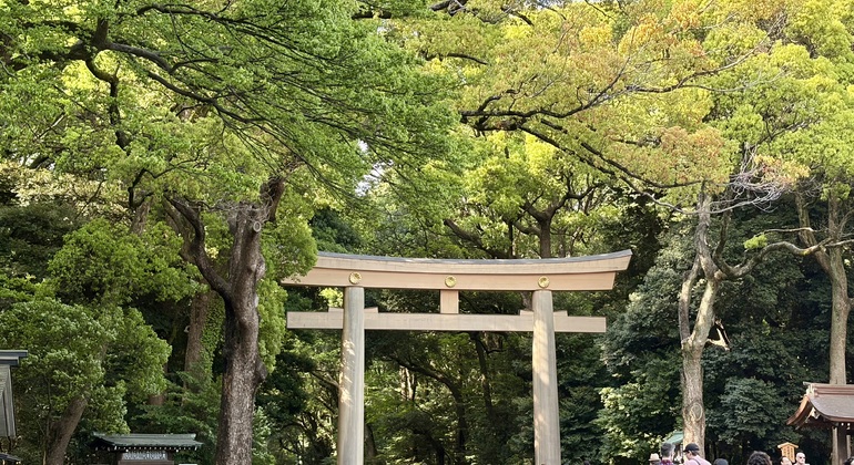 Tokyo Essentials: Daytime Free Tour Japan &mdash; #8