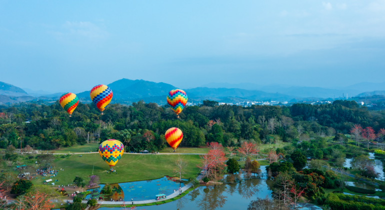 Eight Days Nature & Cultural Heritage Tour (Guangxi-Yunnan)