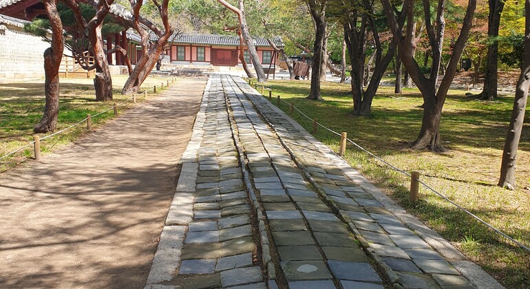 Kostenlose Besichtigung des Jongmyo-Schreins: UNESCO-Erbe und die Seele Koreas Südkorea &mdash; #3