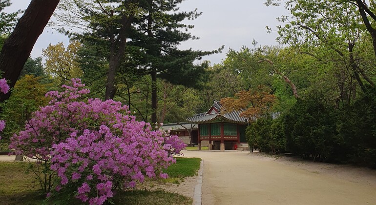 Kostenlose Besichtigung des Jongmyo-Schreins: UNESCO-Erbe und die Seele Koreas Südkorea &mdash; #6