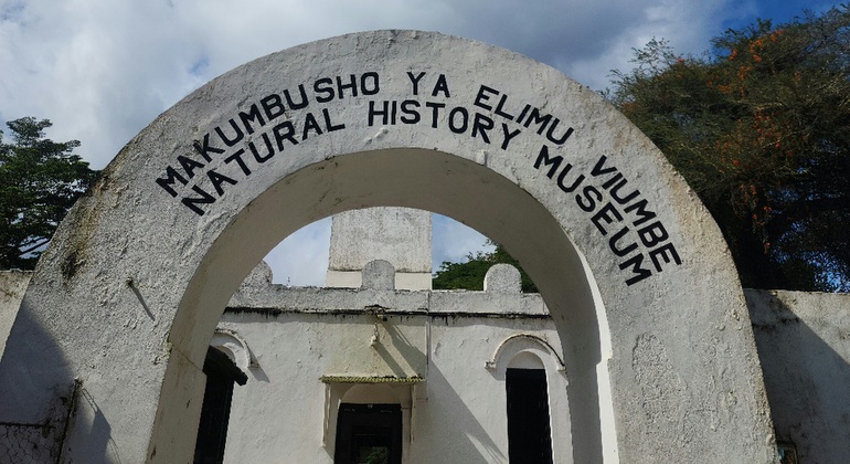 Arusha City Walking Free Tour: History, Culture & Lifestyles Provided by Riloy sagege