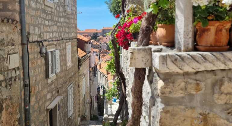Dubrovnik más allá de la postal: La vida local Free Tour Croacia &mdash; #2