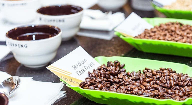 From Bean to Cup: The Ethiopian Coffee Tour