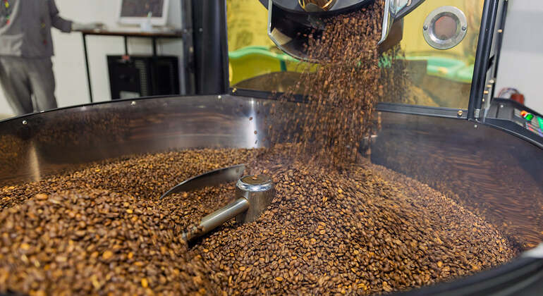 From Bean to Cup: The Ethiopian Coffee Tour Ethiopia &mdash; #5
