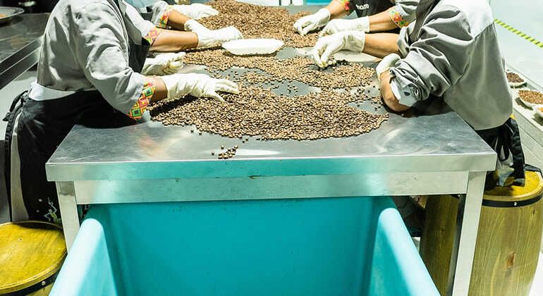 From Bean to Cup: The Ethiopian Coffee Tour Ethiopia &mdash; #6
