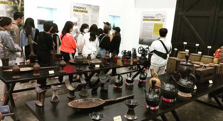 From Bean to Cup: The Ethiopian Coffee Tour Ethiopia &mdash; #7
