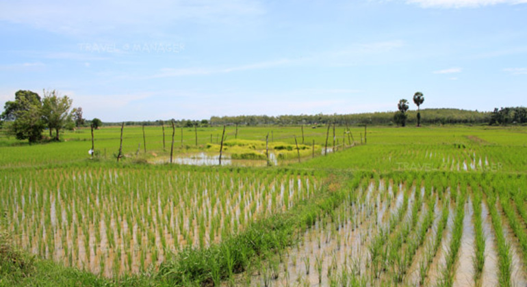 Krabi Traditional Tour in Krabi Town  Thailand &mdash; #3