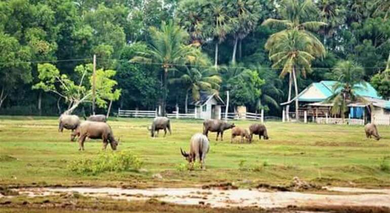 Krabi Traditional Tour in Krabi Town  Thailand &mdash; #4