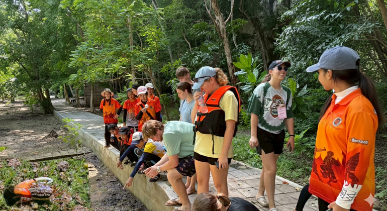 Krabi Traditional Tour in Krabi Town  Thailand &mdash; #6