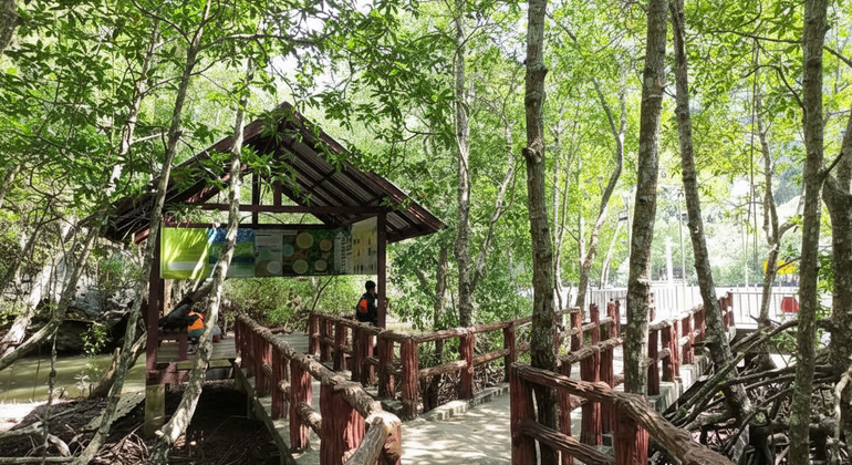 Krabi Traditional Tour in Krabi Town  Thailand &mdash; #8