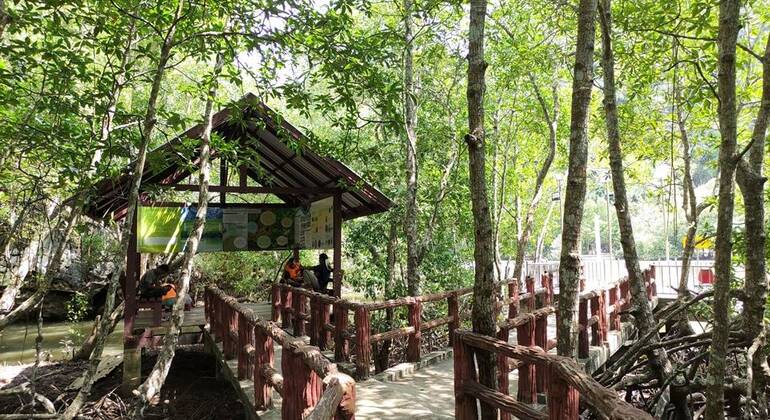 Krabi Traditional Tour in Krabi Town  Thailand &mdash; #17