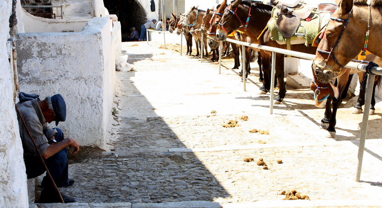 Fira Arte di vivere: Visita guidata gratuita e consigli a Santorini Grecia &mdash; #8