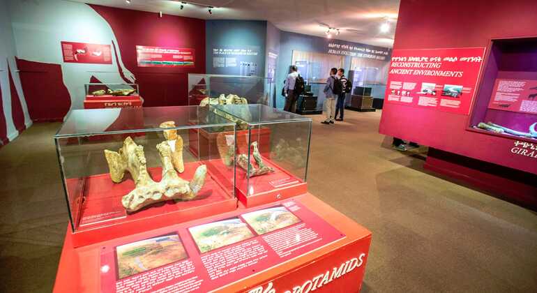 Circuit d'escale à Addis-Abeba : Faites en sorte que chaque heure compte Éthiopie &mdash; #6