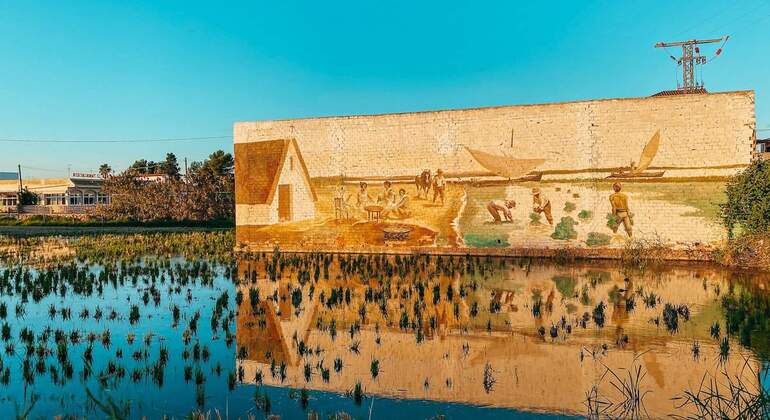 Paseo en Bicicleta y Barco por la Albufera de Valencia: Naturaleza y Cultura España &mdash; #2