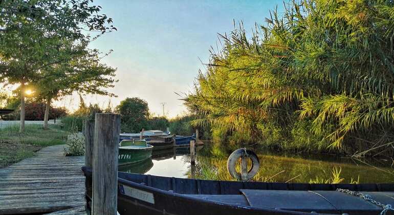 Paseo en Bicicleta y Barco por la Albufera de Valencia: Naturaleza y Cultura España &mdash; #3