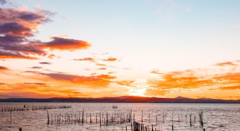 Paseo en Bicicleta y Barco por la Albufera de Valencia: Naturaleza y Cultura España &mdash; #4