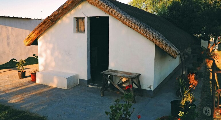 Paseo en Bicicleta y Barco por la Albufera de Valencia: Naturaleza y Cultura España &mdash; #5