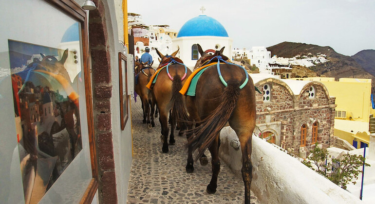 Tour gratuito di Oia prima del tramonto: Storie sopra la Caldera a Santorini Grecia &mdash; #17