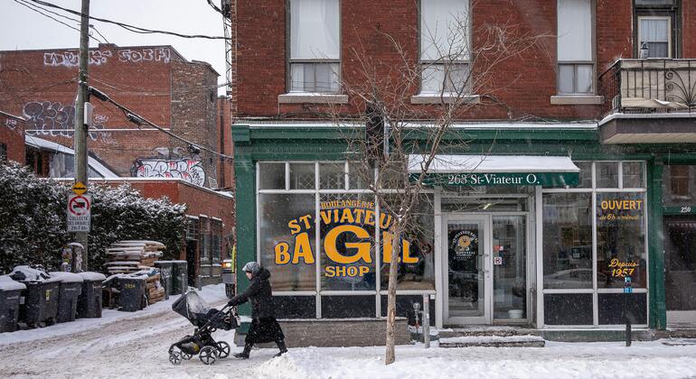 montreal-plateau-mile-end-free-walking-tour-en-1