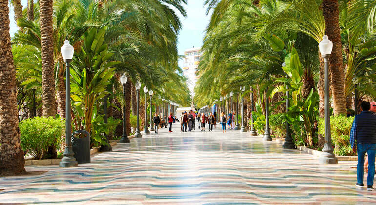 Self-Guided Audio App: Alicante City Tour Spain &mdash; #2