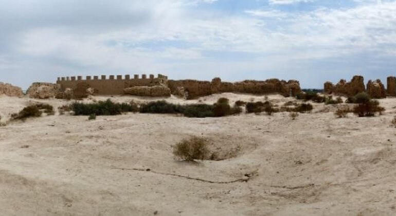 Excursión a las antiguas fortalezas de Khorezm desde Khiva  Uzbekistán &mdash; #10