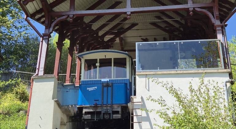lucerne-two-hour-hidden-mountain-and-farms-en-2