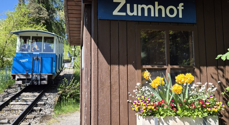 lucerne-two-hour-hidden-mountain-and-farms-en-3