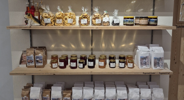 lucerne-two-hour-hidden-mountain-and-farms-en-4