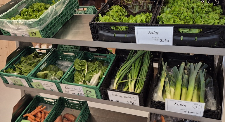 lucerne-two-hour-hidden-mountain-and-farms-en-5