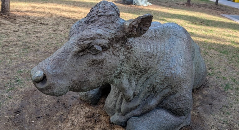 Hidden in Plain Sight: Toronto's Public Art Walking Tour