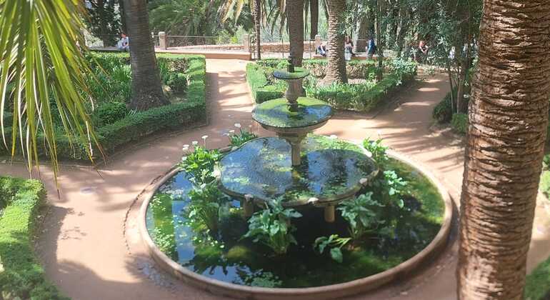 Le plus beau secret de Grenade Visite libre Fournie par Tsafrir Corcia