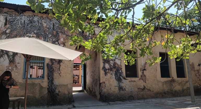 Excursión de un día a Zanzíbar: Ciudad de Piedra, Granja de Especias e Isla Prisión