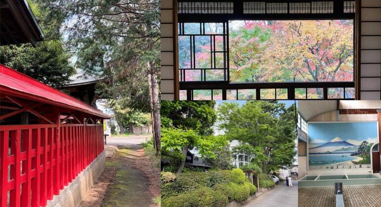 Ghibli's Town & Edo Architecture Museum Free Tour Provided by Yusuke - Licensed Guide 