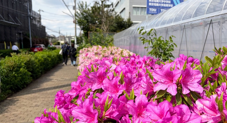 Ghibli's Town & Edo Architecture Museum Free Tour Japan &mdash; #5