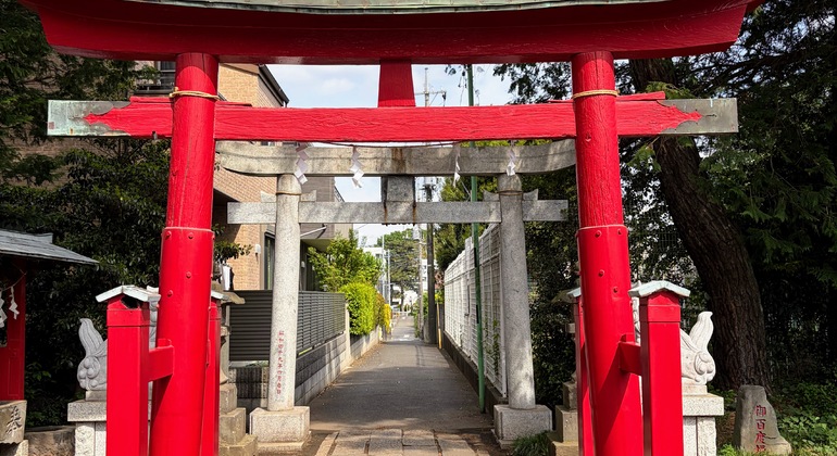 Ghibli's Town & Edo Architecture Museum Free Tour Japan &mdash; #6