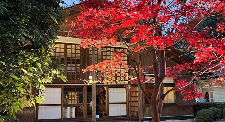 Ghibli's Town & Edo Architecture Museum Free Tour Japan &mdash; #12