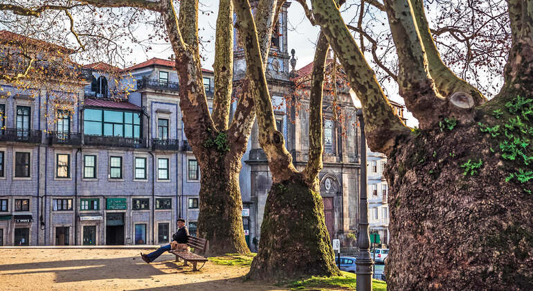 Audio Guide App: Porto, Harry Potter Inspirations Tour Portugal &mdash; #14