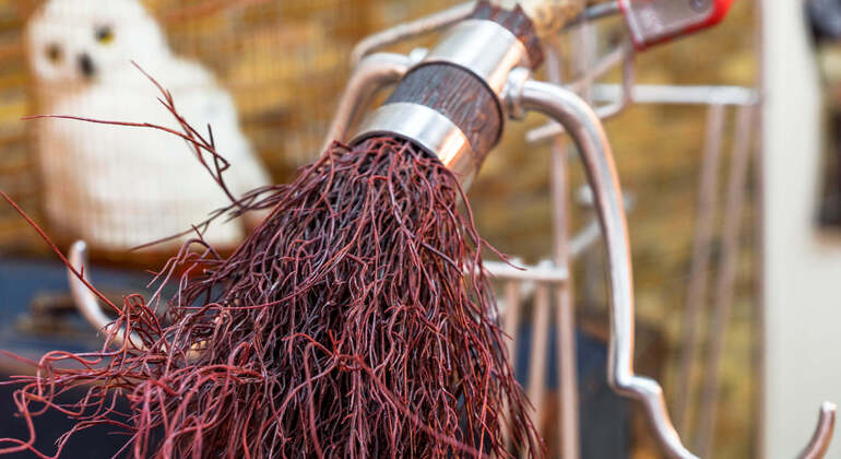 Audio Guide App: Porto, Harry Potter Inspirations Tour Portugal &mdash; #16