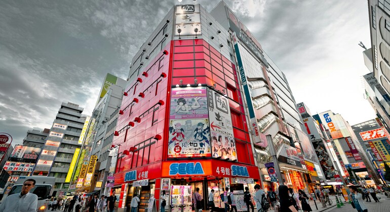 TOKIO Tradicional: Tour Privado a Pie y en Transporte Público Operado por Hikari Tours