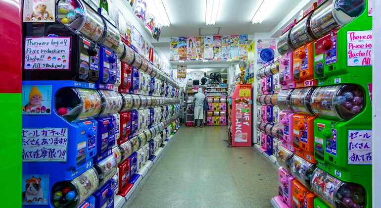 TOKIO Tradicional: Tour Privado a Pie y en Transporte Público Japón &mdash; #2