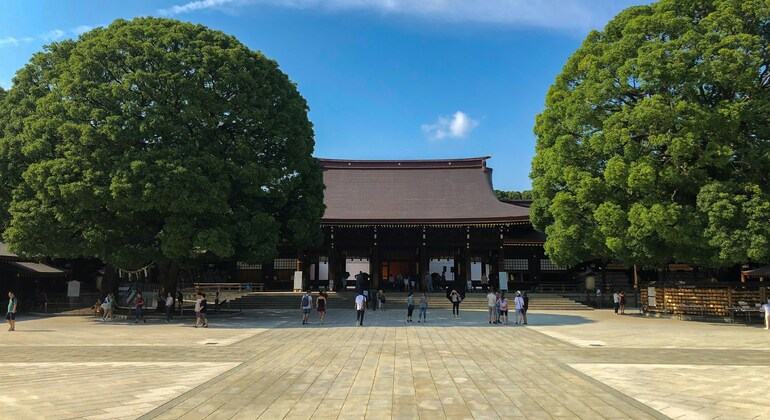 TOKIO Tradicional: Tour Privado a Pie y en Transporte Público Japón &mdash; #3